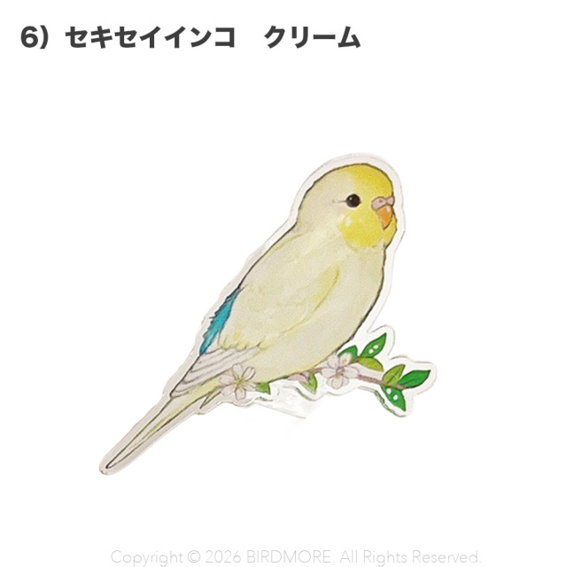 9999637【aoamo】アクリルクリップ 鳥専門店 BIRD MORE