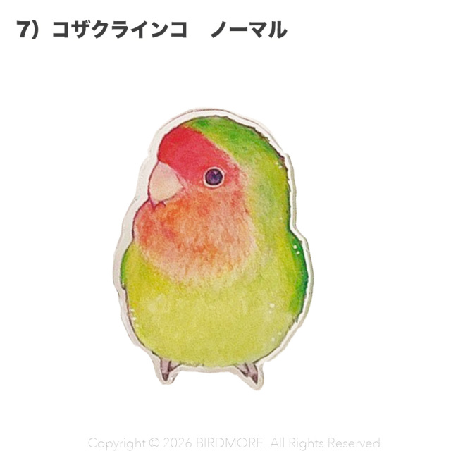 9999637【aoamo】アクリルクリップ 鳥専門店 BIRD MORE