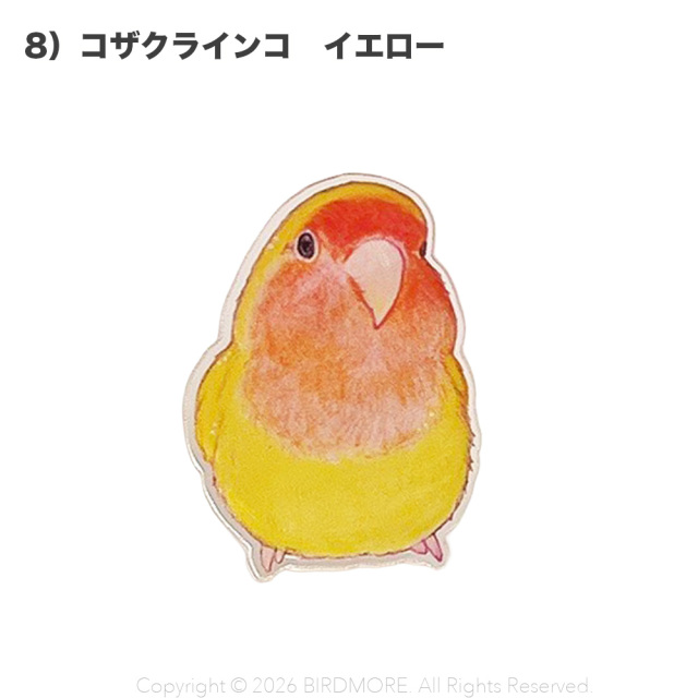 9999637【aoamo】アクリルクリップ 鳥専門店 BIRD MORE