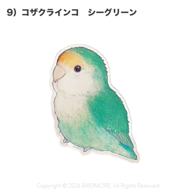 9999637【aoamo】アクリルクリップ 鳥専門店 BIRD MORE