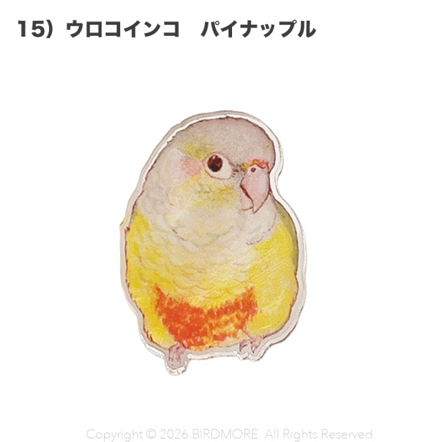 9999637【aoamo】アクリルクリップ 鳥専門店 BIRD MORE
