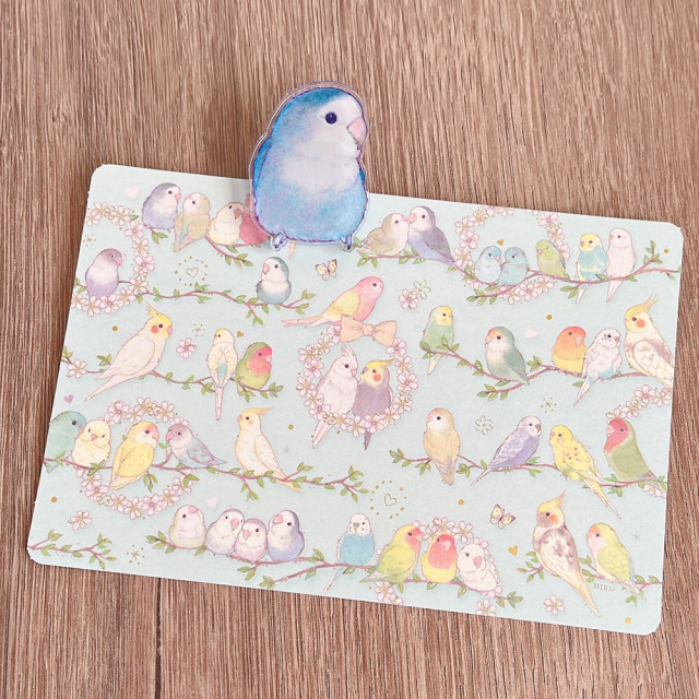 9999637【aoamo】アクリルクリップ 鳥専門店 BIRD MORE