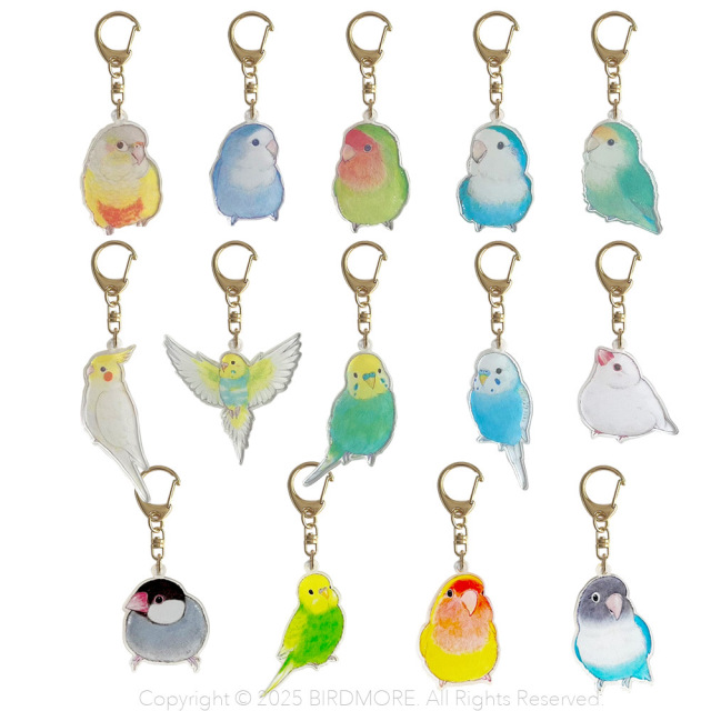 9999554【aoamo】アクリルキーホルダー 鳥専門店 BIRD MORE