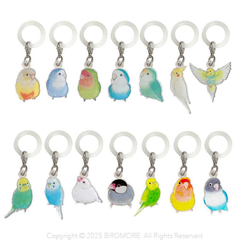 9999555【aoamo】アンブレラマーカー 鳥専門店 BIRD MORE