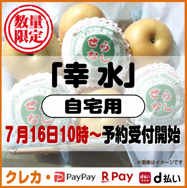 幸水梨　自宅用