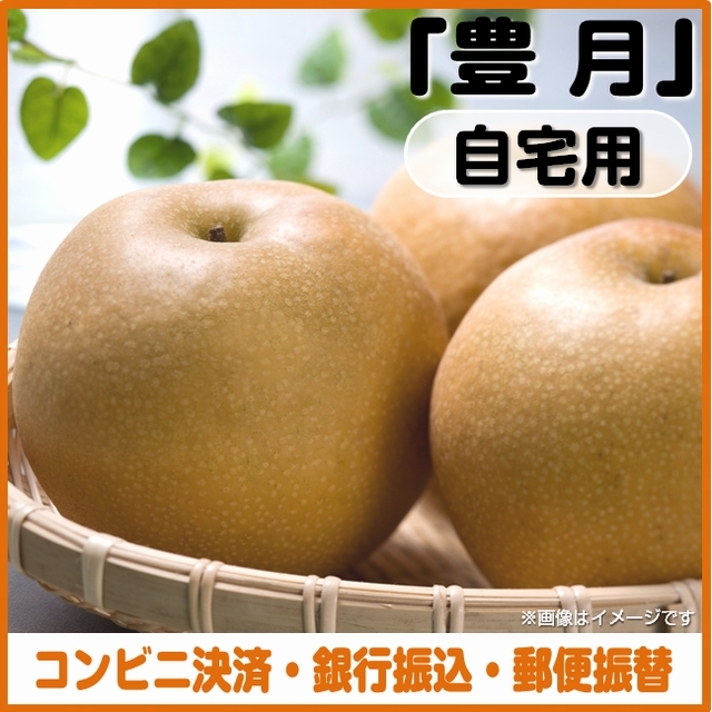 【一時販売停止中】＜コンビニ決済、銀行振込、郵便振替＞ 梨（豊月）自宅用　ご注文は「１０月９日」まで！発送予定「１０月中旬～」