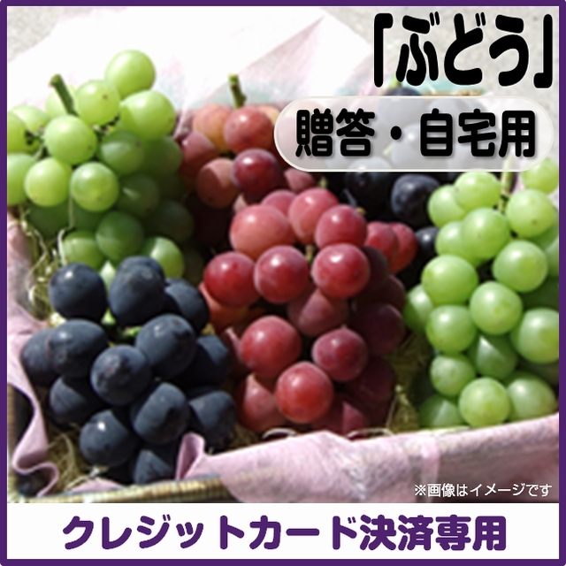 ＜完売御礼＞【数量限定】＜クレジットカード決済＞【予約７月10日～7月31日まで】ぶどう（贈答・自宅用）