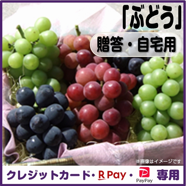 【今シーズン最終】受付は「８月２５日」まで！【数量限定】ぶどう（贈答・自宅用）＜クレジットカード、楽天ペイ、ＰａｙＰａｙ決済＞発送予定「９月上旬～」