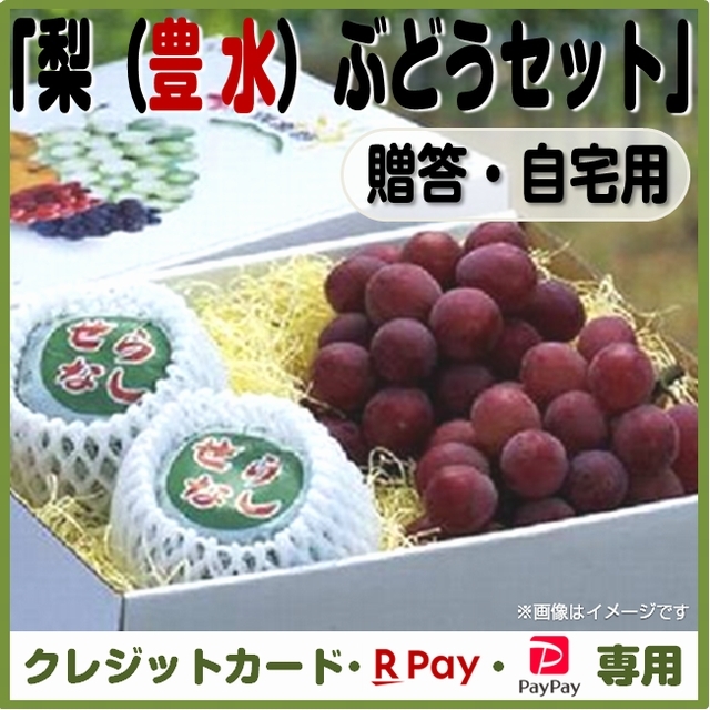【今シーズン最終】受付は「９月１０日」まで！【数量限定】梨（豊水）ぶどうセット（贈答・自宅用）＜クレジットカード、楽天ペイ、ＰａｙＰａｙ決済＞