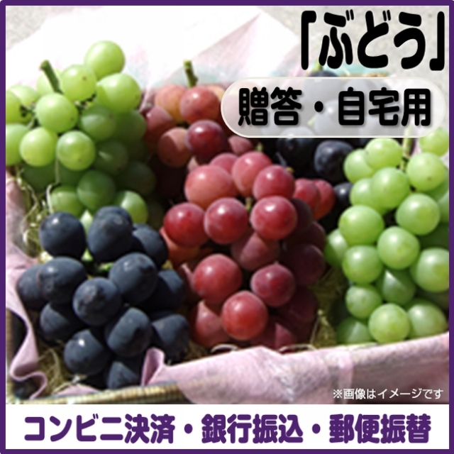 ＜完売御礼＞【数量限定】＜コンビニ決済、銀行振込、郵便振替＞【予約７月10日～7月21日まで】ぶどう（贈答・自宅用）
