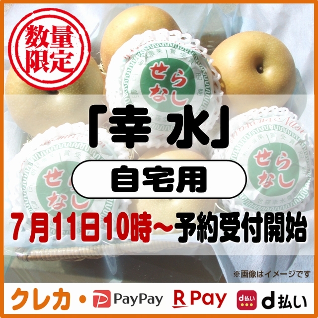 幸水梨 自宅用