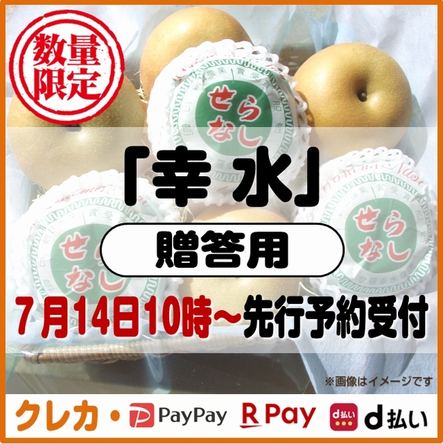幸水梨　贈答用