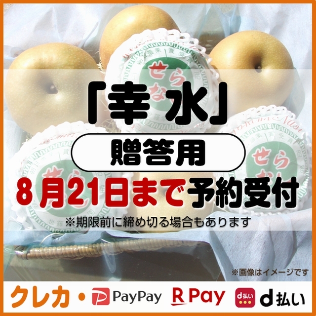幸水梨 贈答用