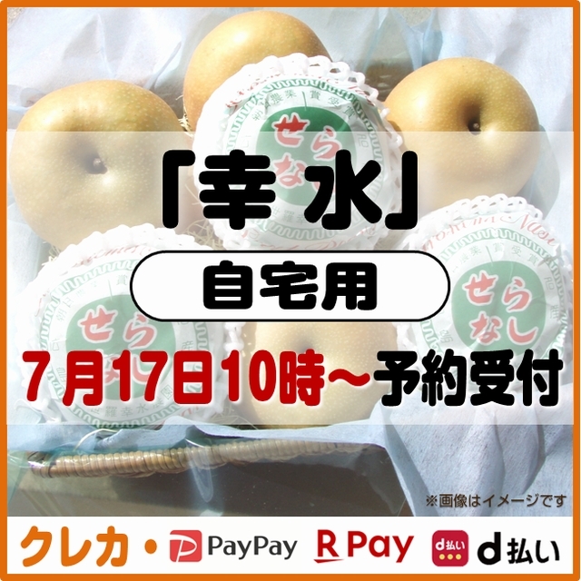 幸水梨　自宅用