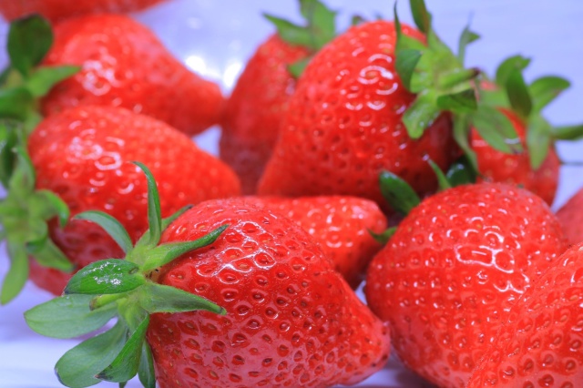 ＜クレジットカード、楽天ペイ、ＰａｙＰａｙ決済＞【数量限定５箱】いちご１箱４パック入り 贈答・自宅用【１月２７日（火）発送】※チルド配送