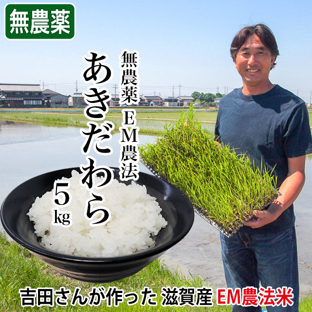 ≪在庫僅少≫令和7年産 2025年産 無農薬 EM農法 あきだわら ５kg 吉田農園 完熟近江米
