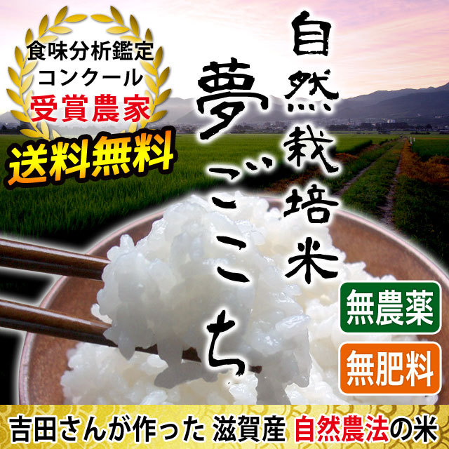 自然栽培米夢ごこち