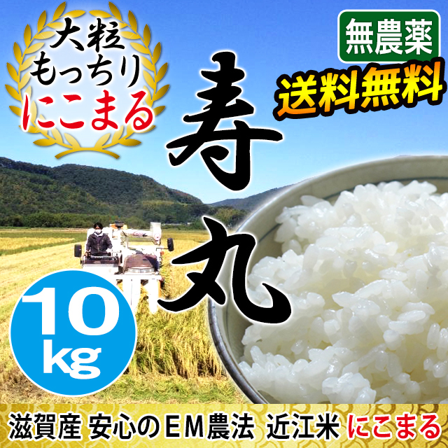 にこまる 10kg×2 農薬不使用 玄米 国産 農家直送 美容健康 安心安全  