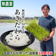 ＜2025年産分完売＞令和7年産 2025年産 無農薬 EM農法 あきだわら ５kg 吉田農園 完熟近江米