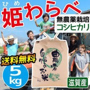 令和4年度産 近江米 予約受付開始