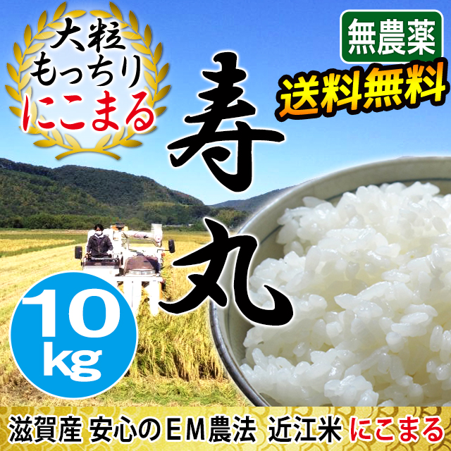 令和5年産 2023年産 吉田農園 無農薬 EM農法 にこまる 10kg(5kg×2） 完熟近江米