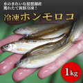 【調理用】≪漁師から産地直送≫琵琶湖産【天然ホンモロコ1000g】鮮魚とれたて冷凍 1kg 魚友商店 佃煮、天ぷらに最適！