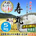 令和5年産 2023年産 吉田農園 無農薬 EM農法 にこまる ５kg 完熟近江米