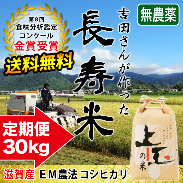 長寿米コシヒカリ 30kg 定期購入