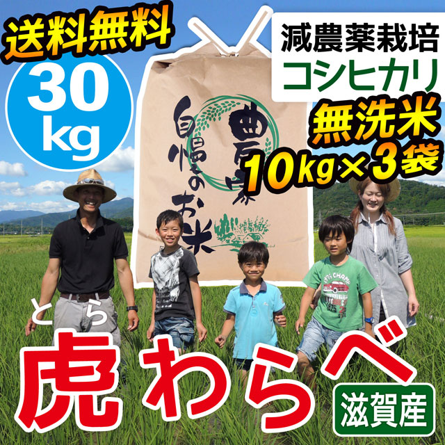 減農薬コシヒカリ 虎わらべ 30kg