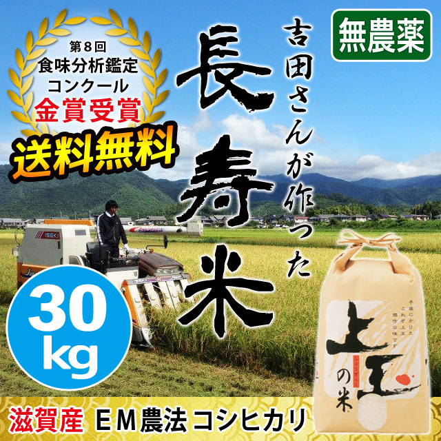 長寿米コシヒカリ 30kg