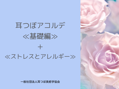基礎＋ストレスとアレルギー