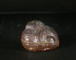 備前焼　登窯　備前焼物故作家　日幡　光顕　黄ゴマ羊香合１