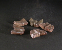 備前焼　登窯　六べえ製作 黄ゴマ蝶の箸置き５個組３