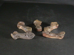 備前焼　登窯　六べえ製作　黄ゴマイカの箸置き５個組５