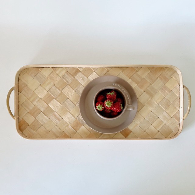 スポーントレイ　横長サイズ　ハンドル付き