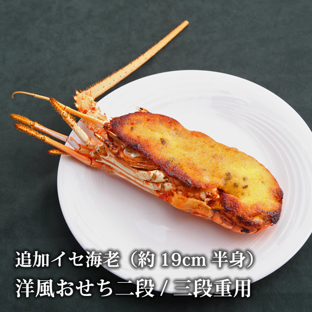 追加イセエビ20