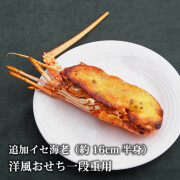 追加イセエビ16