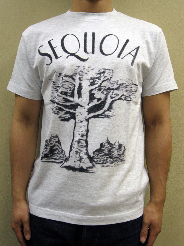 GASBOOK  USA国立公園 Ｔシャツ “SEQUOIA”