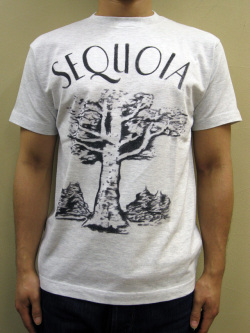GASBOOK  USA国立公園 Ｔシャツ “SEQUOIA”