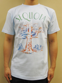 GASBOOK  USA国立公園 Ｔシャツ “SEQUOIA”