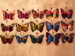 蝶☆マグネットバタフライ！デコレーション