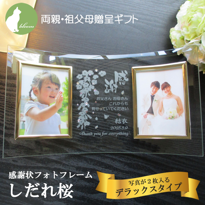 両親贈呈ギフト・感謝状フォトフレーム・しだれ桜・デラックスタイプ