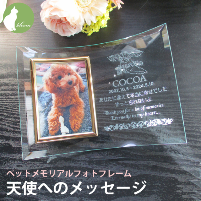 ペットメモリアルフォトフレーム・天使へのメッセージ【ガラスのギフト