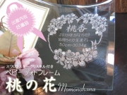 出産祝い・内祝いに最適！ベビーフォトフレーム・桃の花