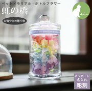 プリザーブドフラワー  名入れ お悔やみ お供え ペット 仏花 犬 猫 ペット供養 花 【ペットメモリアルボトルフラワー・虹の橋】