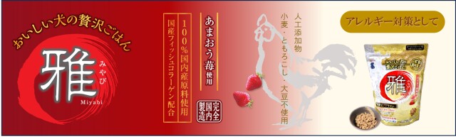 雅　おいしい犬の贅沢ごはん