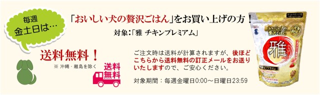 金土日送料無料