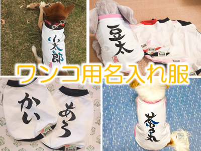 ワンコ用名入り服