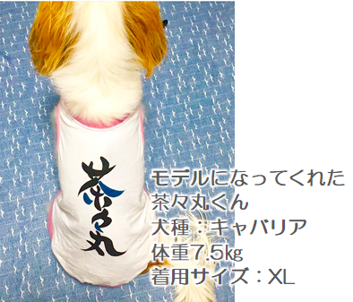 名前入り犬服