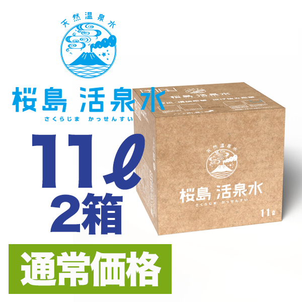 １１リットル箱型２箱セット （送料別）